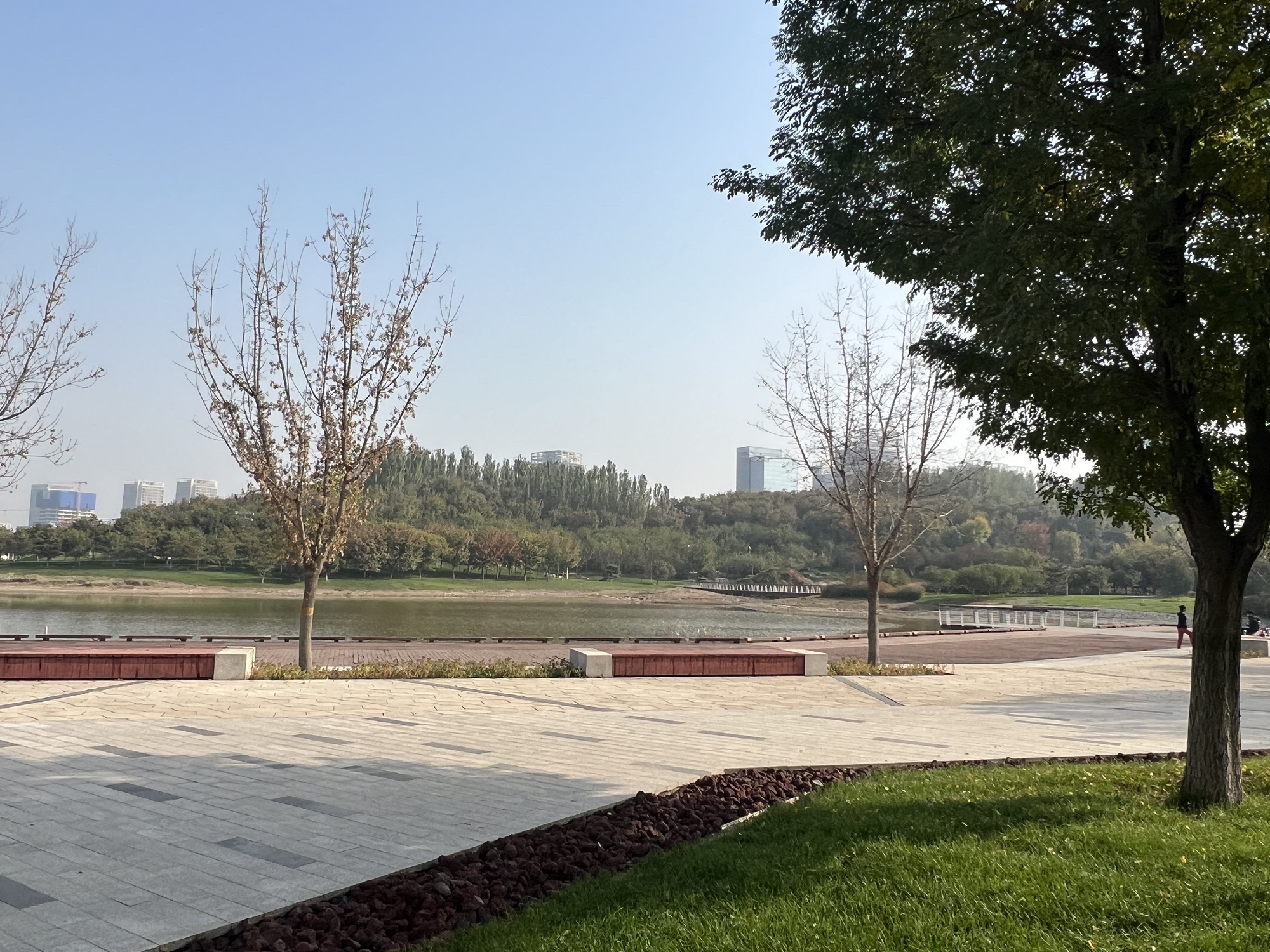 中心湖公园旅行图片 3