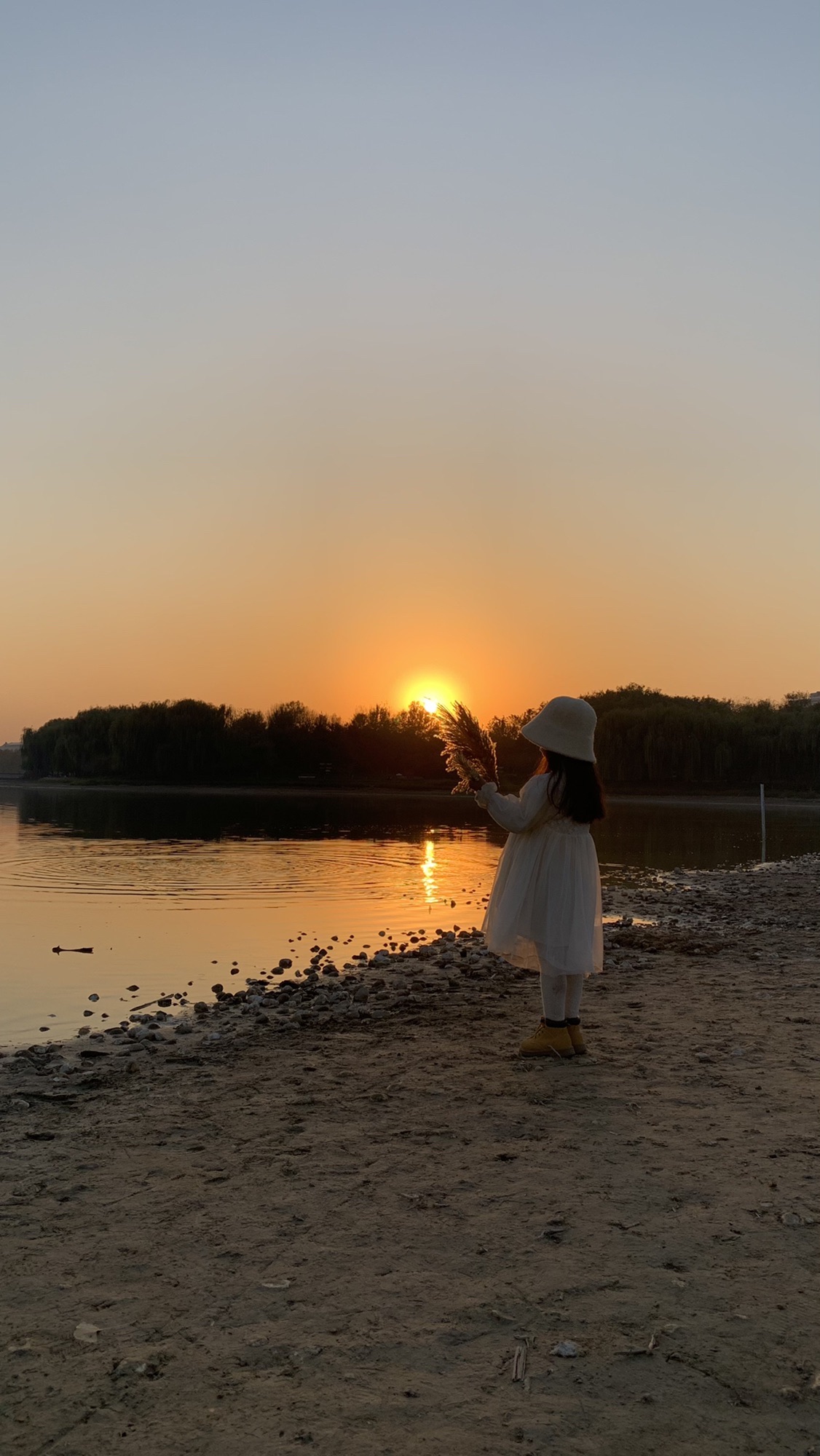 中心湖公园旅行图片 3