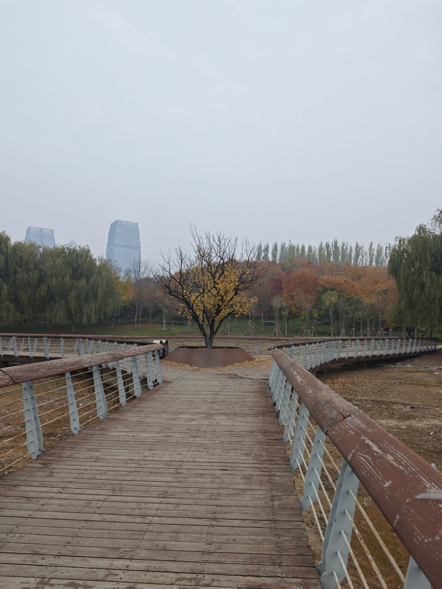 中心湖公园旅行图片 1