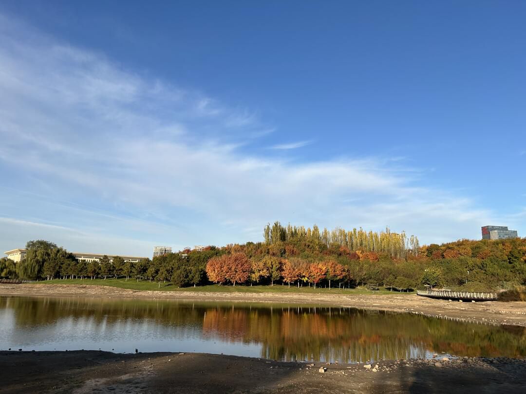 中心湖公园旅行图片 2