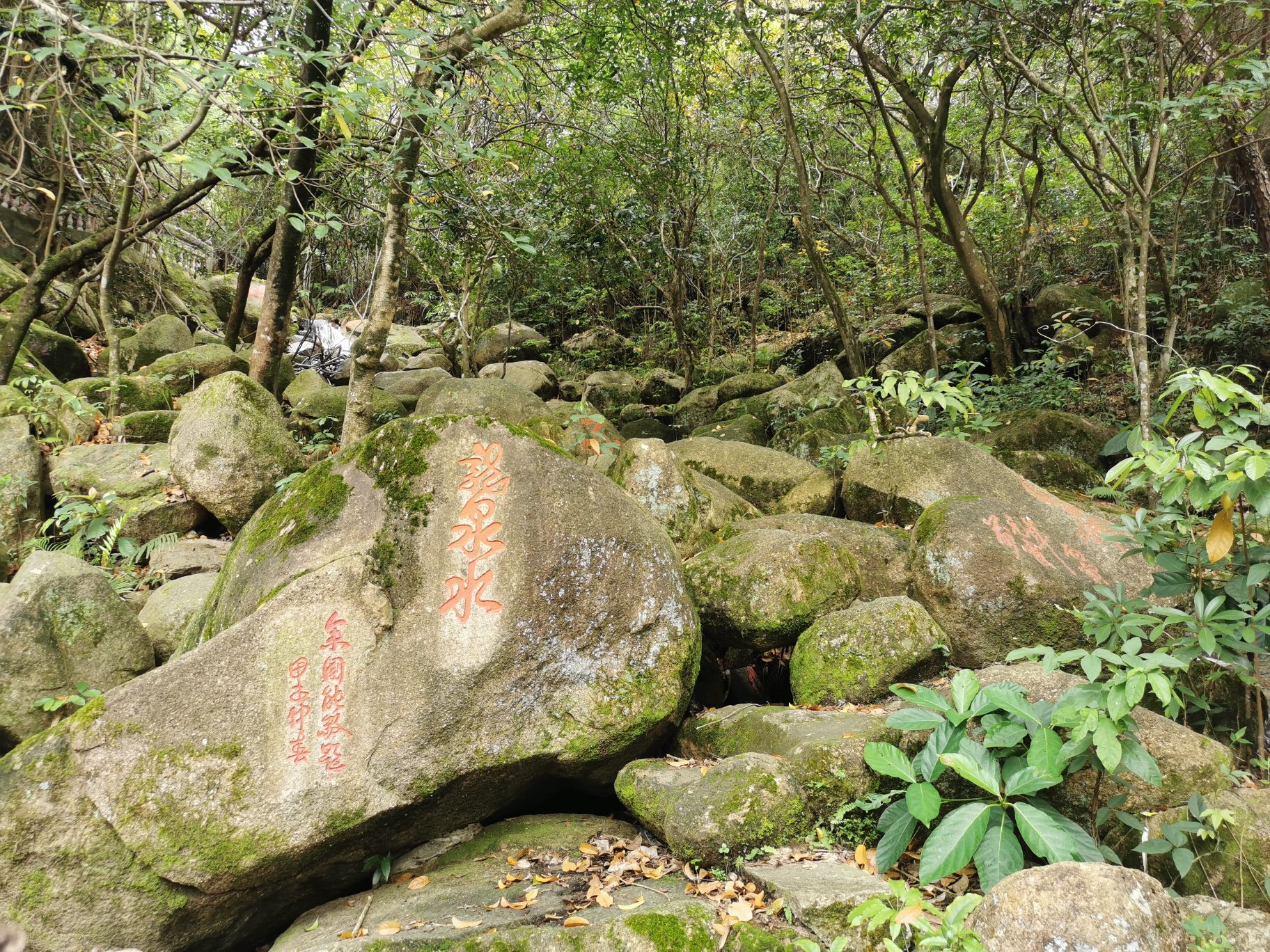浴龙岩