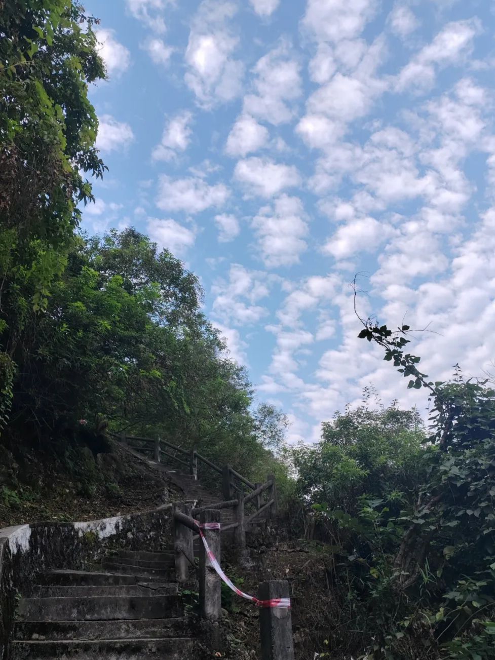马鞍山森林公园旅行图片 2