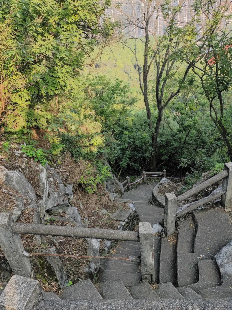马鞍山森林公园旅行图片 3