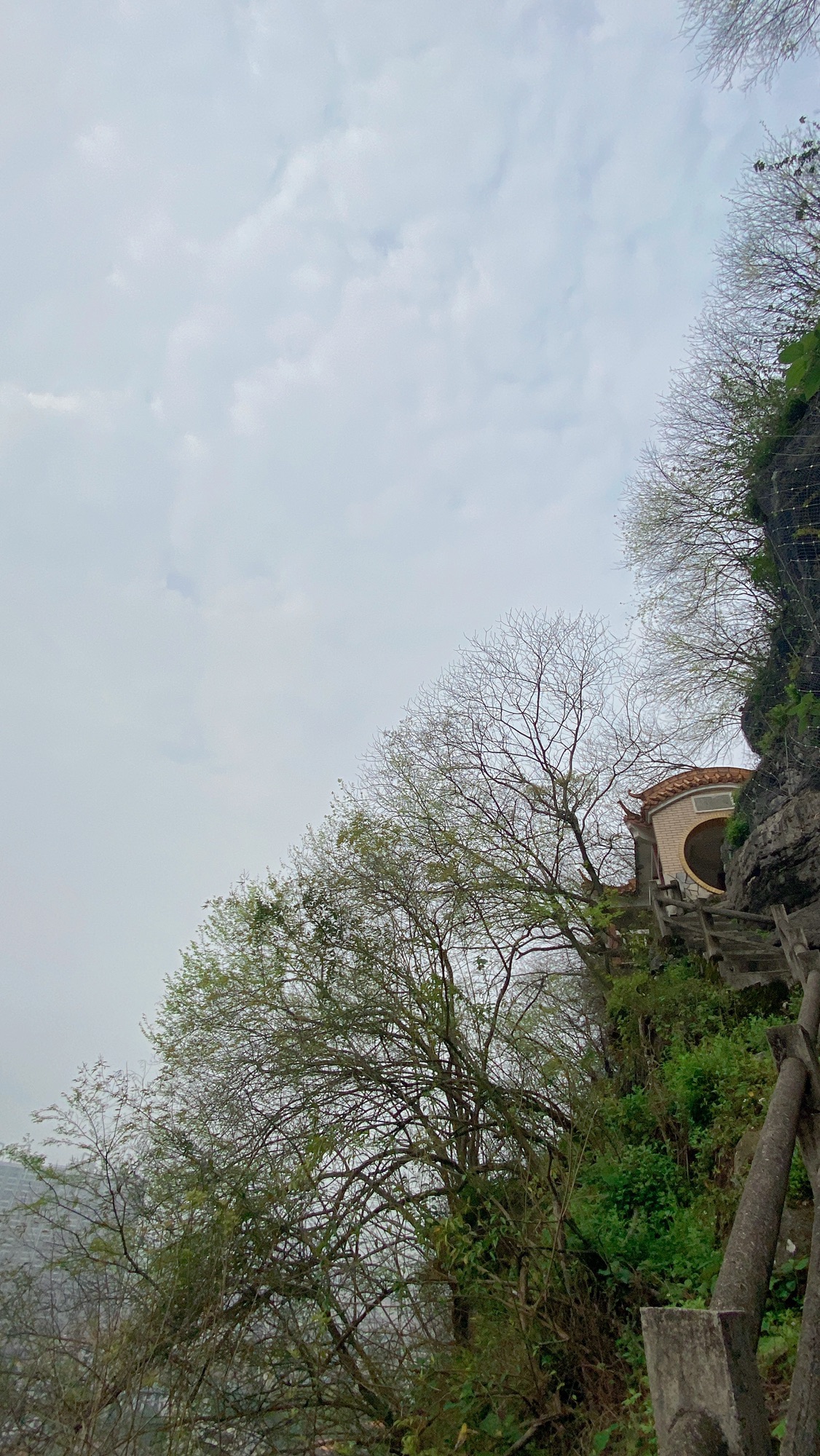 马鞍山森林公园旅行图片 3