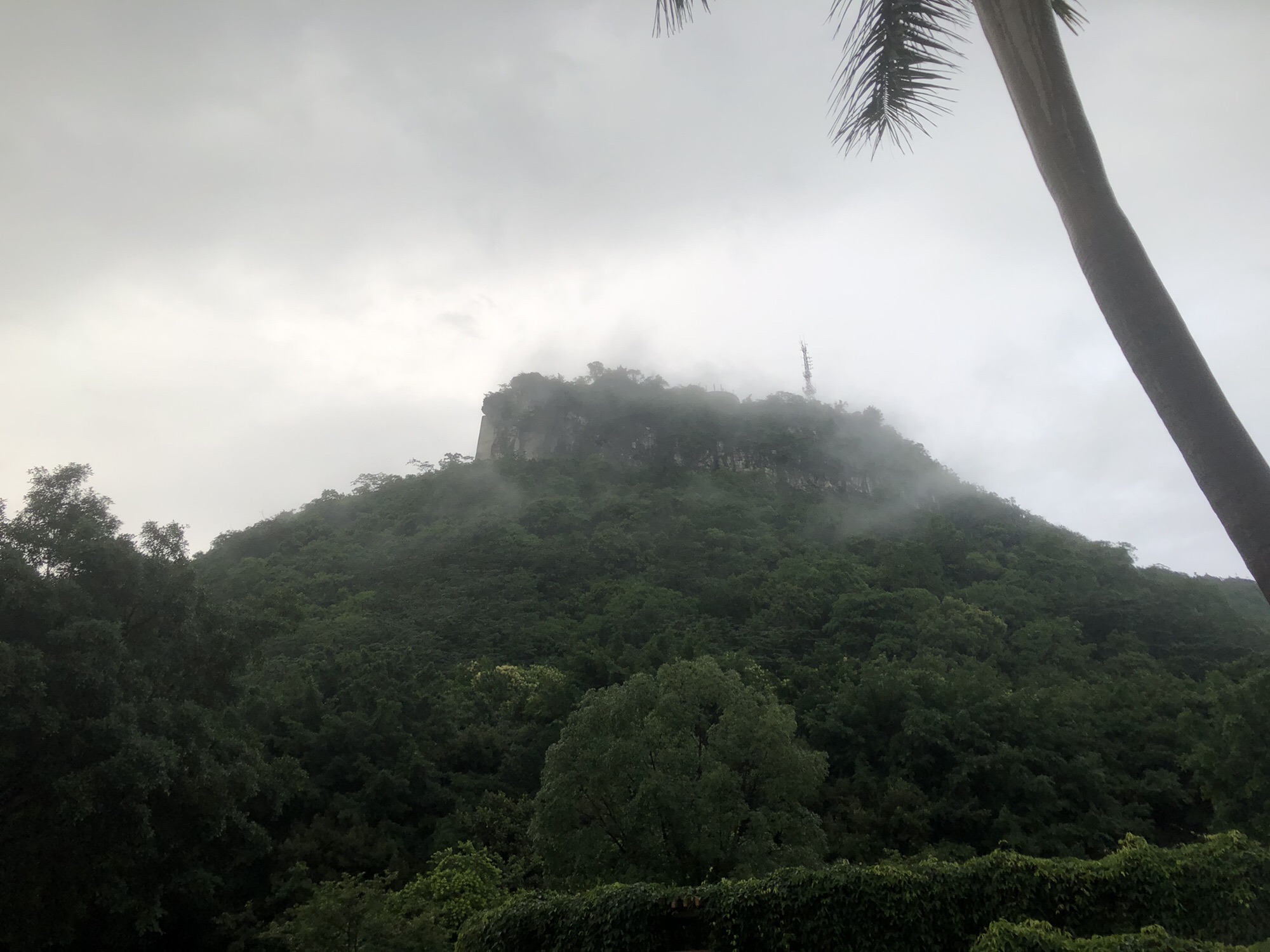 马鞍山森林公园旅行图片 1