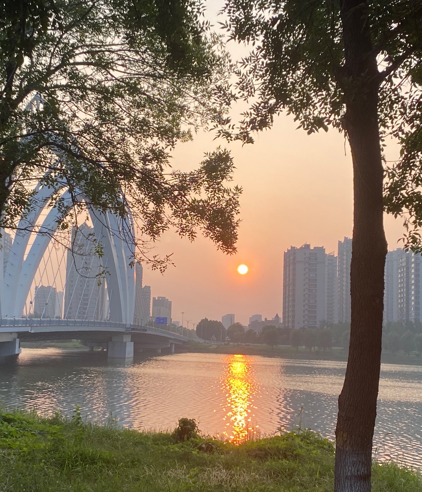 徒骇河湿地公园旅行图片 1