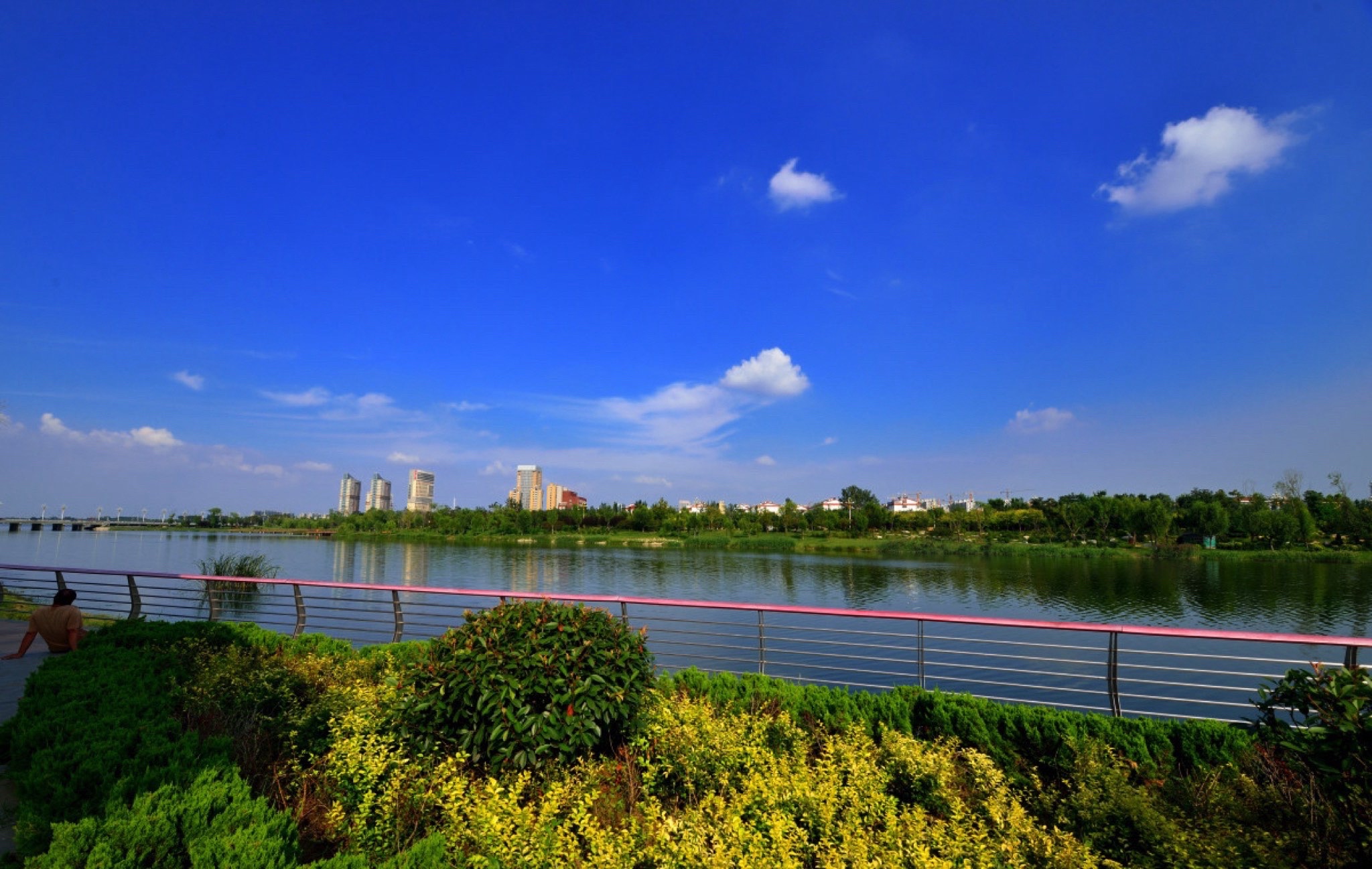 徒骇河湿地公园旅行图片 1