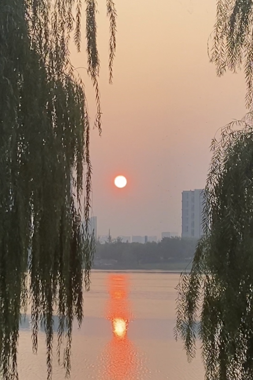 徒骇河湿地公园旅行图片 2
