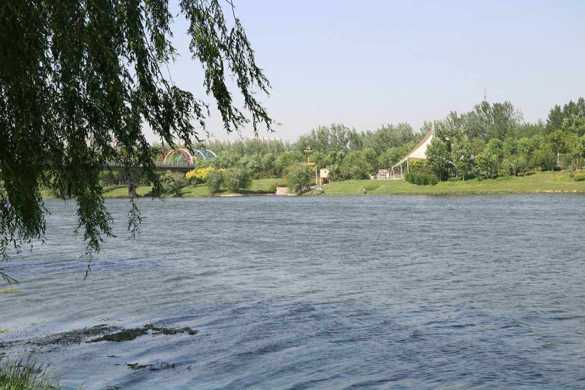 徒骇河湿地公园旅行图片 3