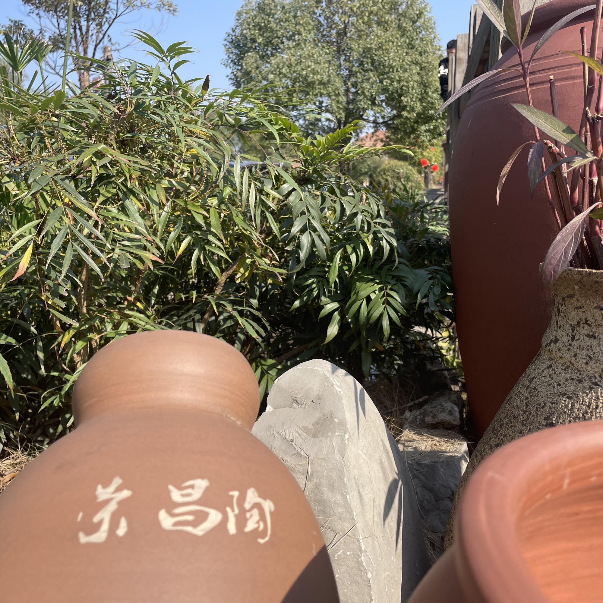 安陶小镇旅行图片 2