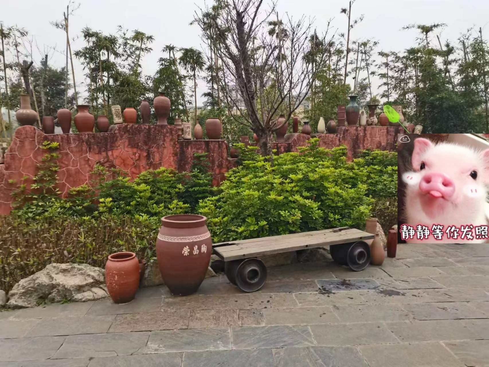 安陶小镇旅行图片 3