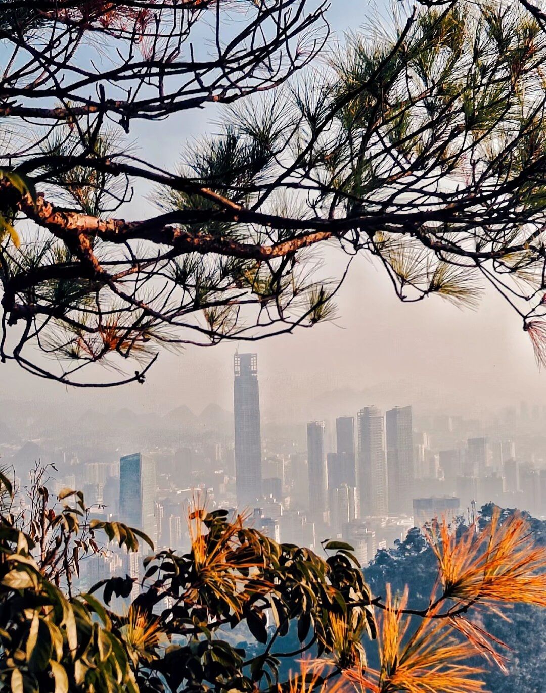 贵阳·黔灵山体育公园旅行图片 2