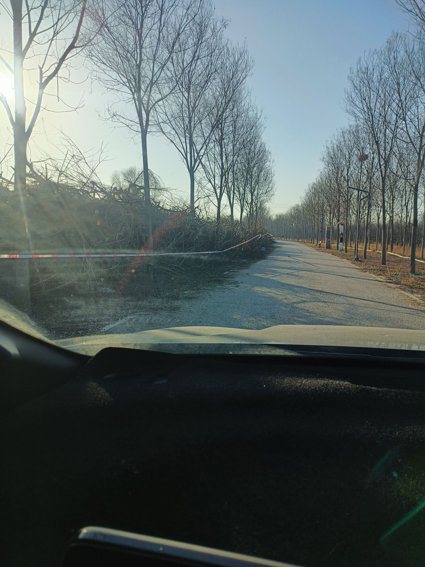 千年秀林旅行图片 2