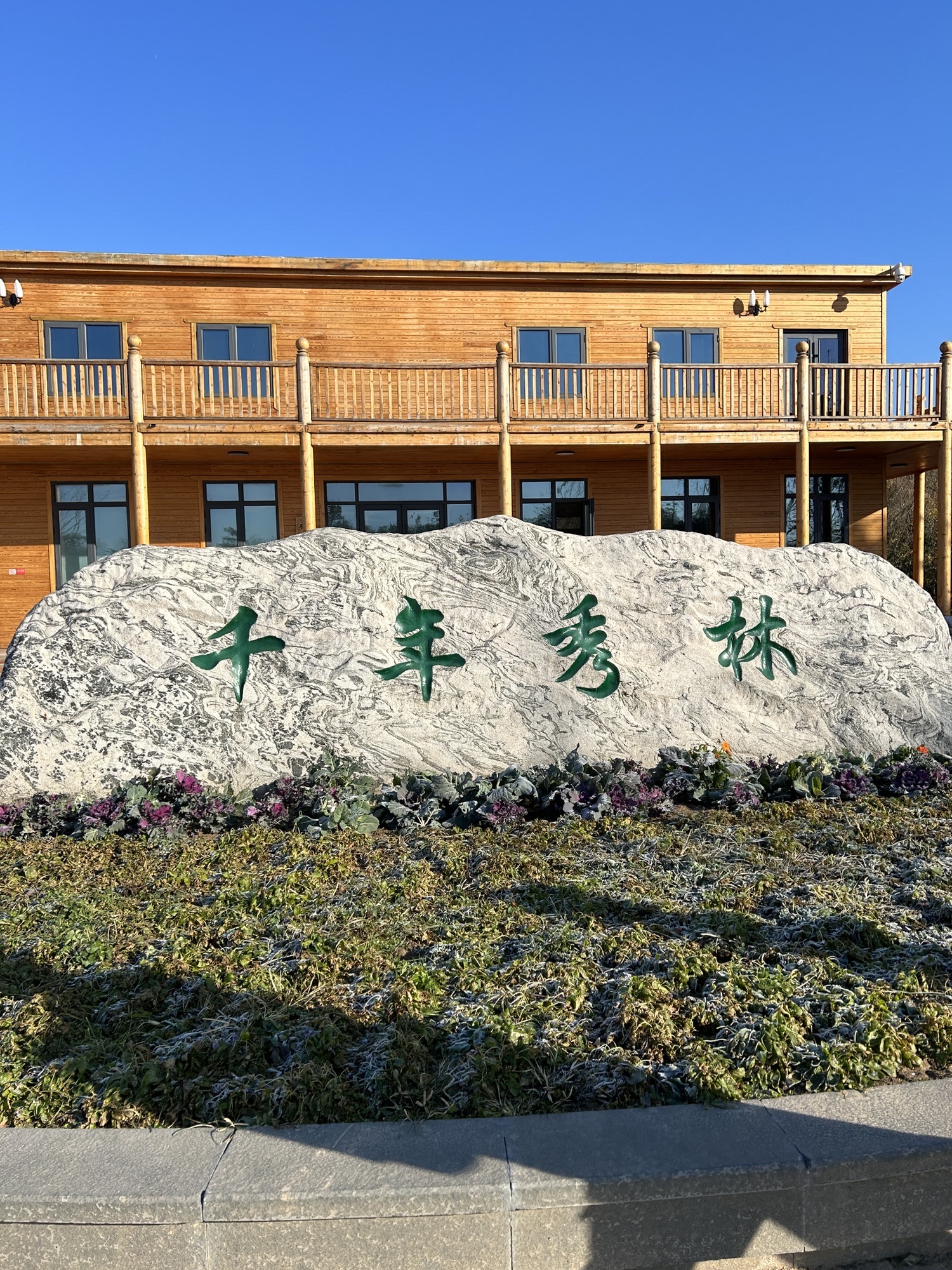 千年秀林旅行图片 1