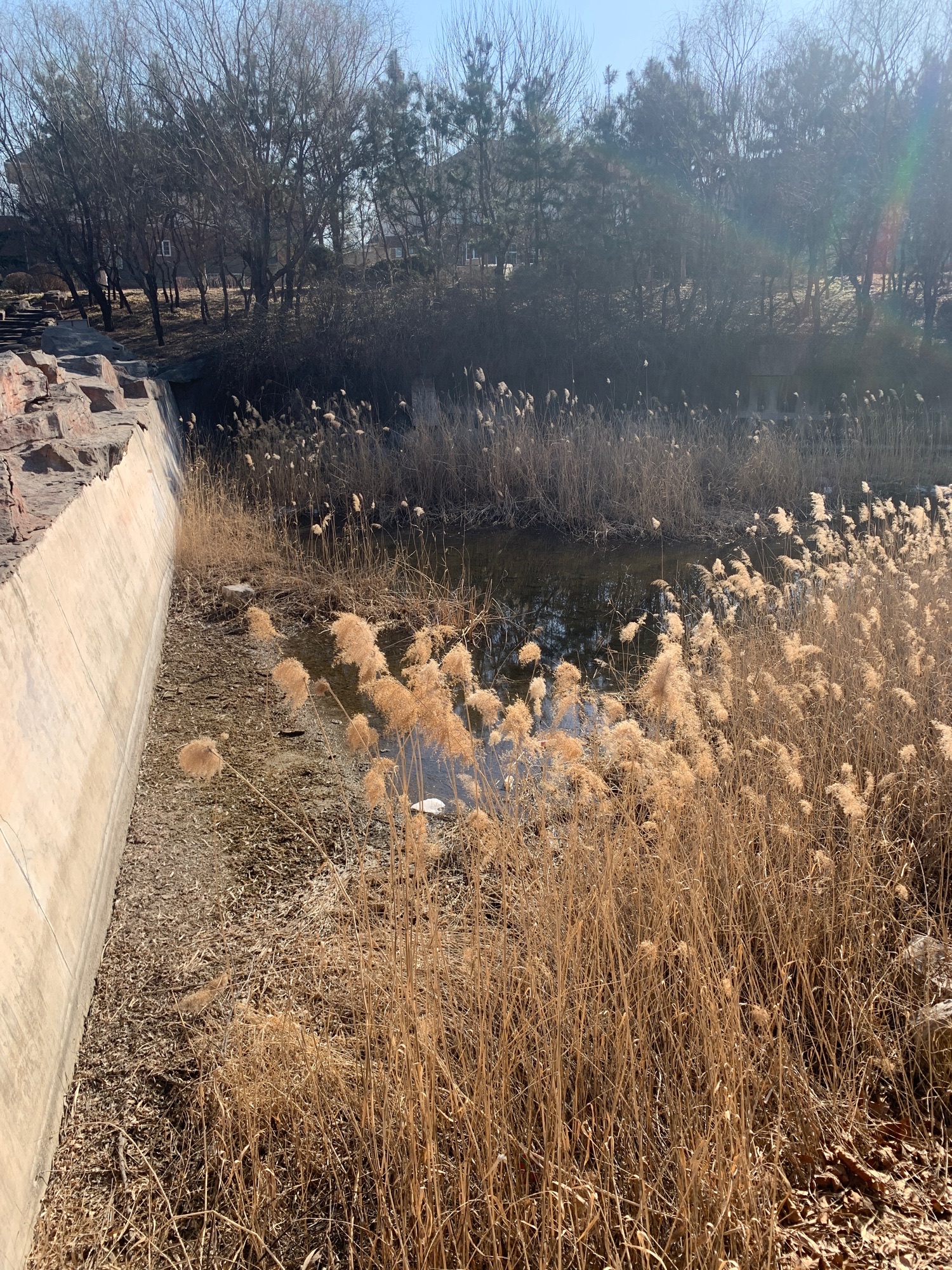 昌乐桂河湿地公园旅行图片 3