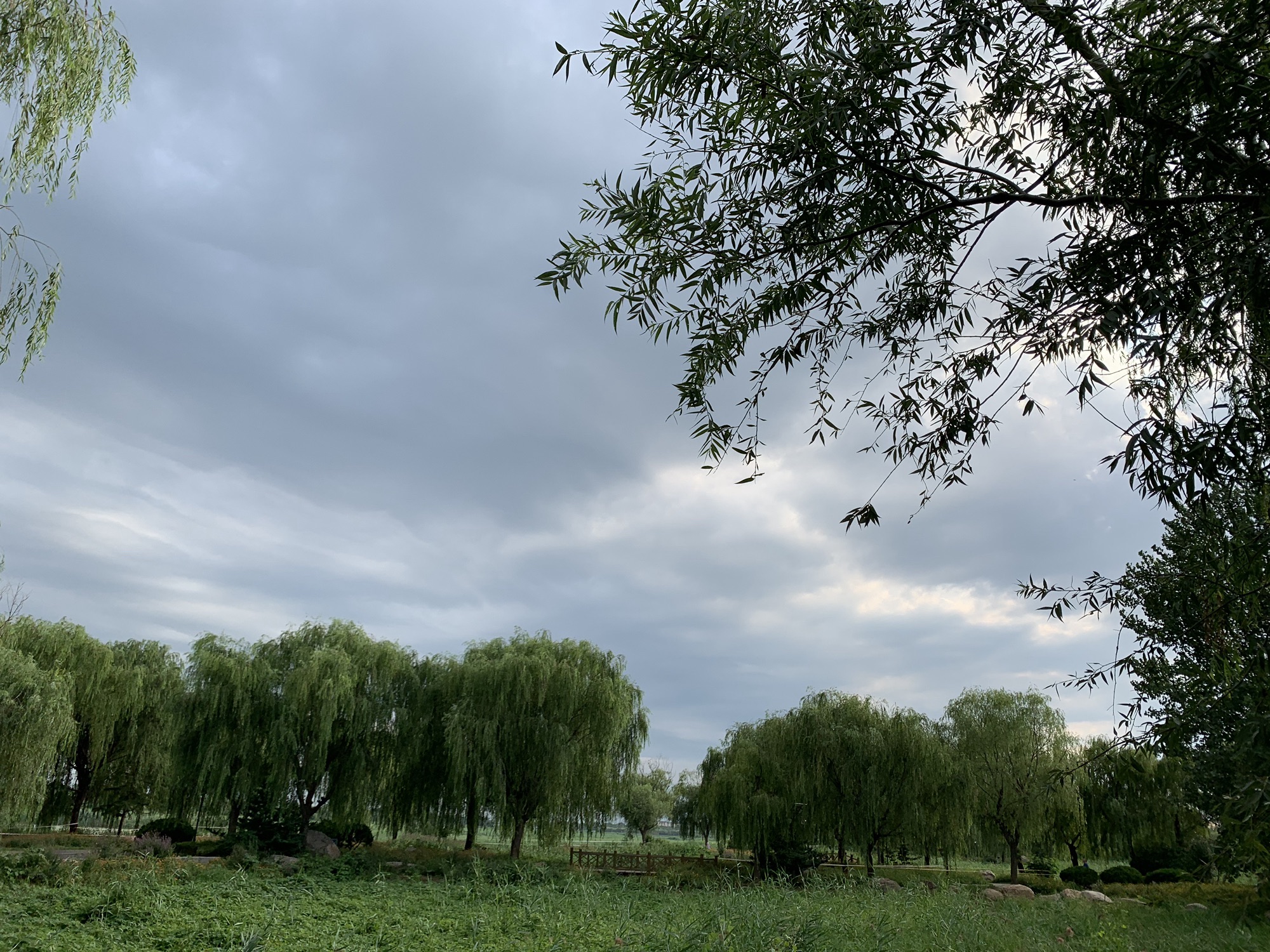 寿光滨河城市湿地公园旅行图片 3