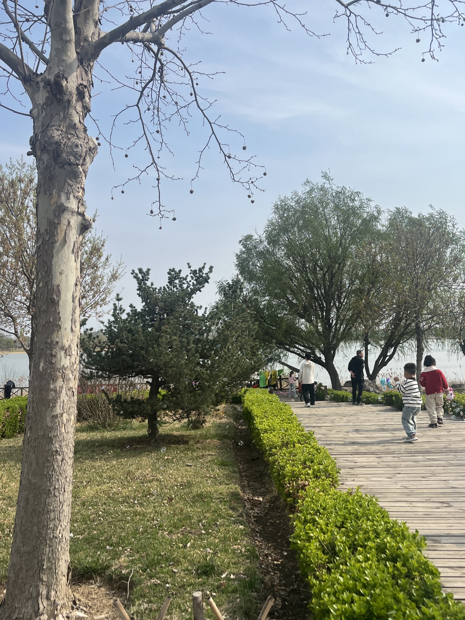 寿光滨河城市湿地公园旅行图片 3