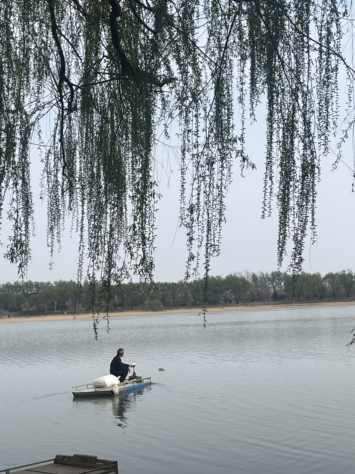 寿光滨河城市湿地公园旅行图片 2