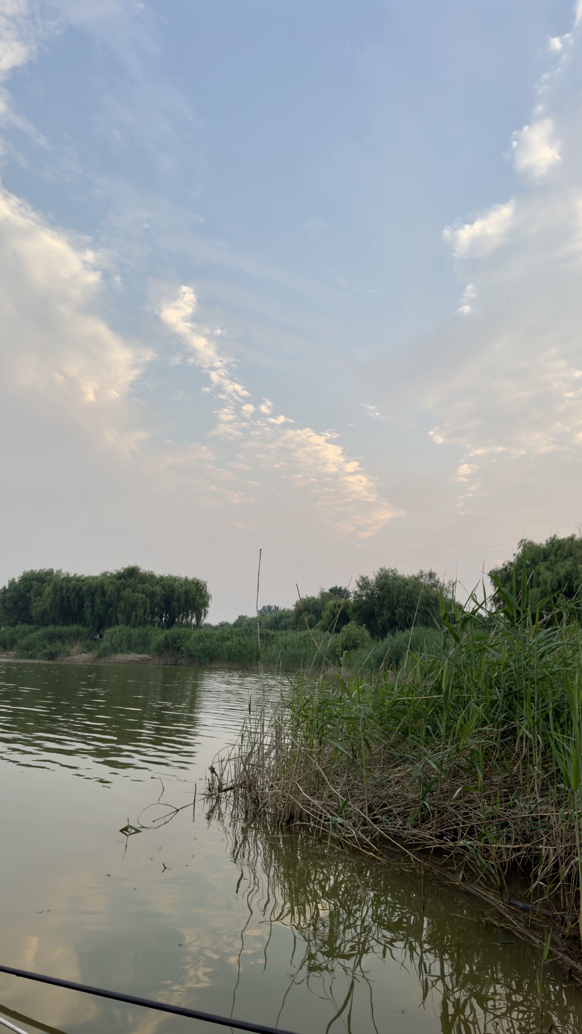 寿光滨河城市湿地公园旅行图片 2