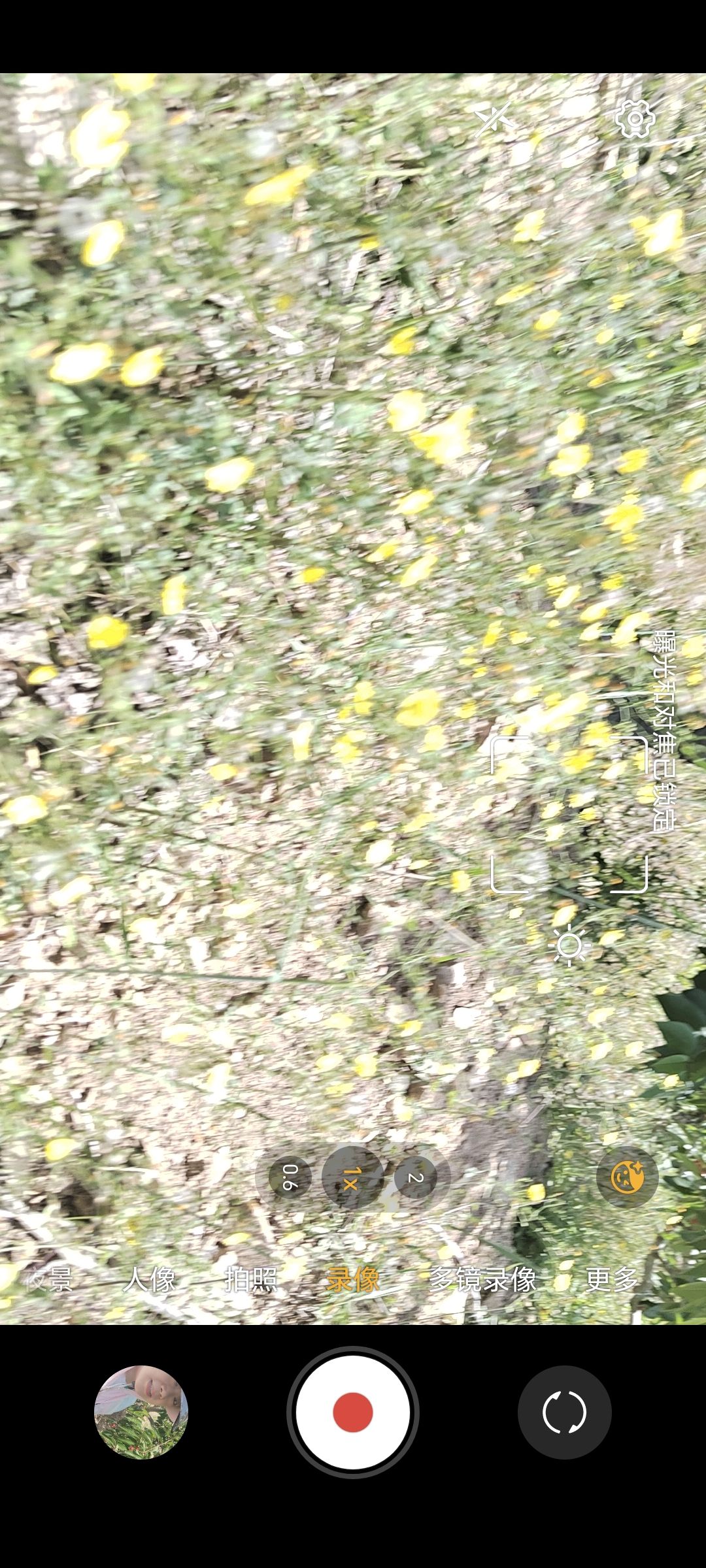 青岛墨禅庵景区旅行图片 1