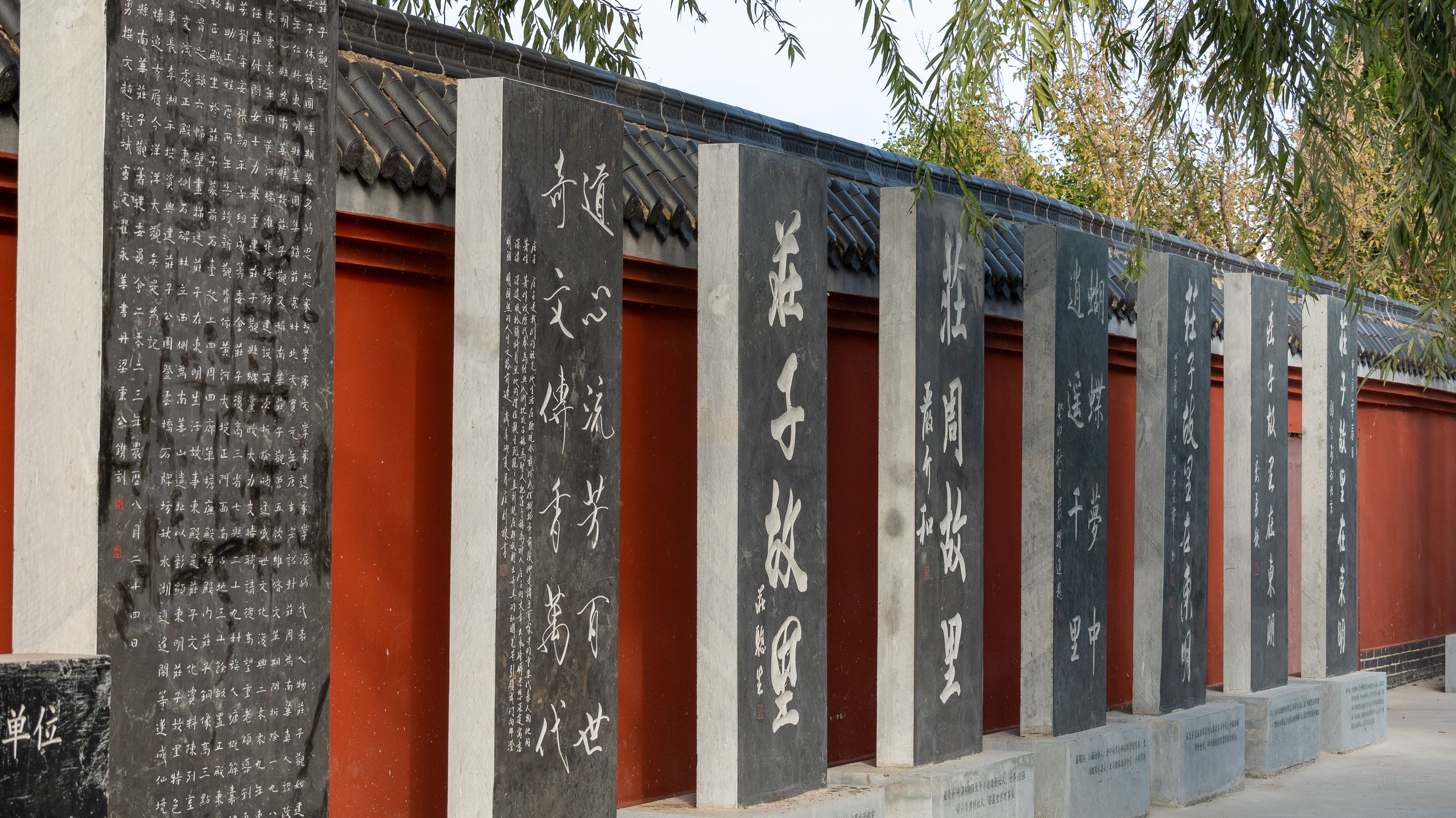 东明庄子文化湿地园景区旅行图片 2