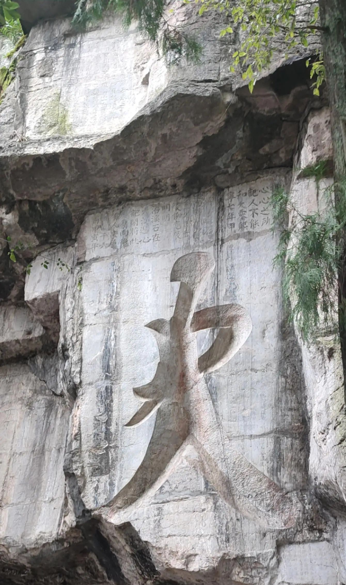 陶铸公园旅行图片 2