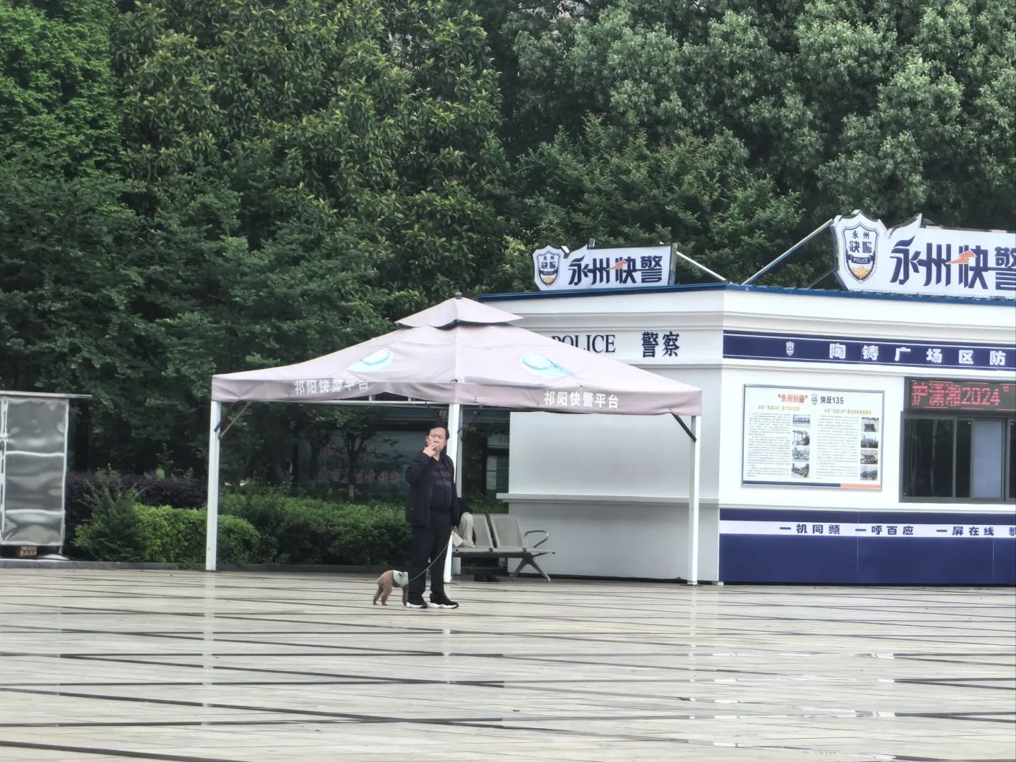 陶铸公园旅行图片 3