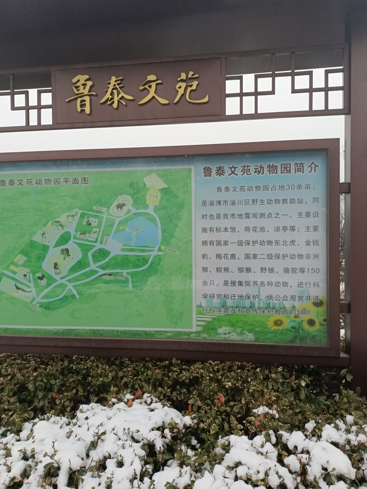 鲁泰文苑动物园旅行图片 1