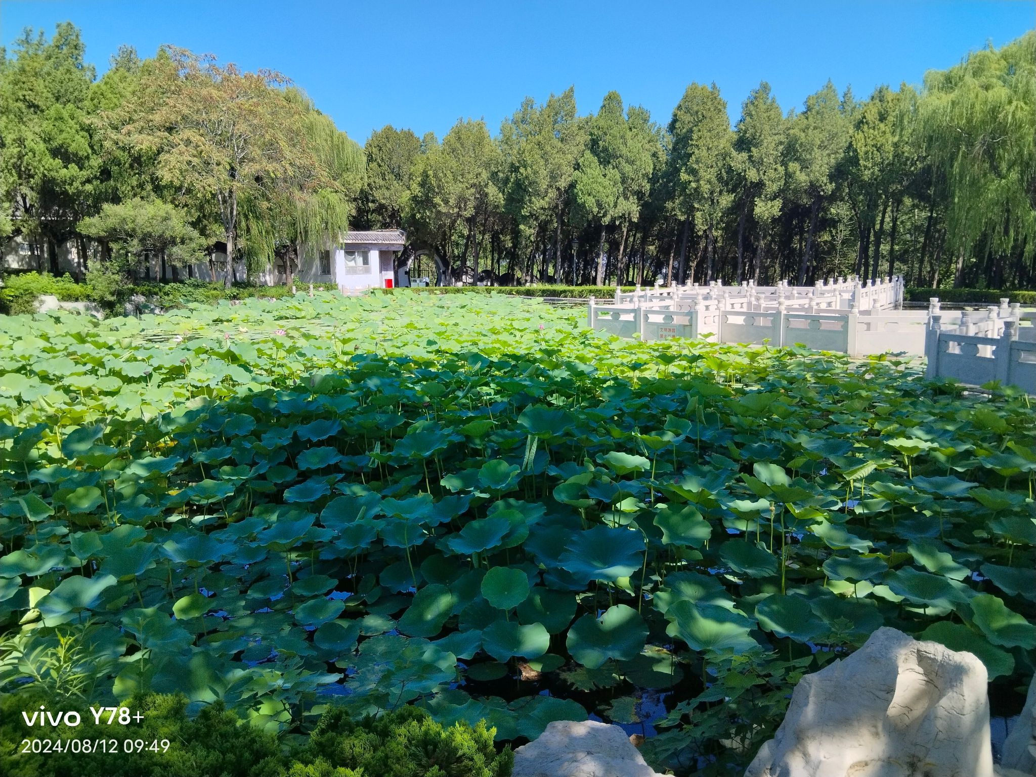 鲁泰文苑动物园旅行图片 1