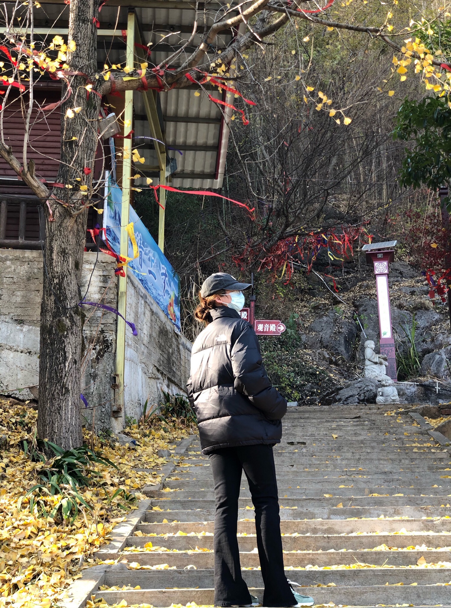 仙女寨植物园旅行图片 3