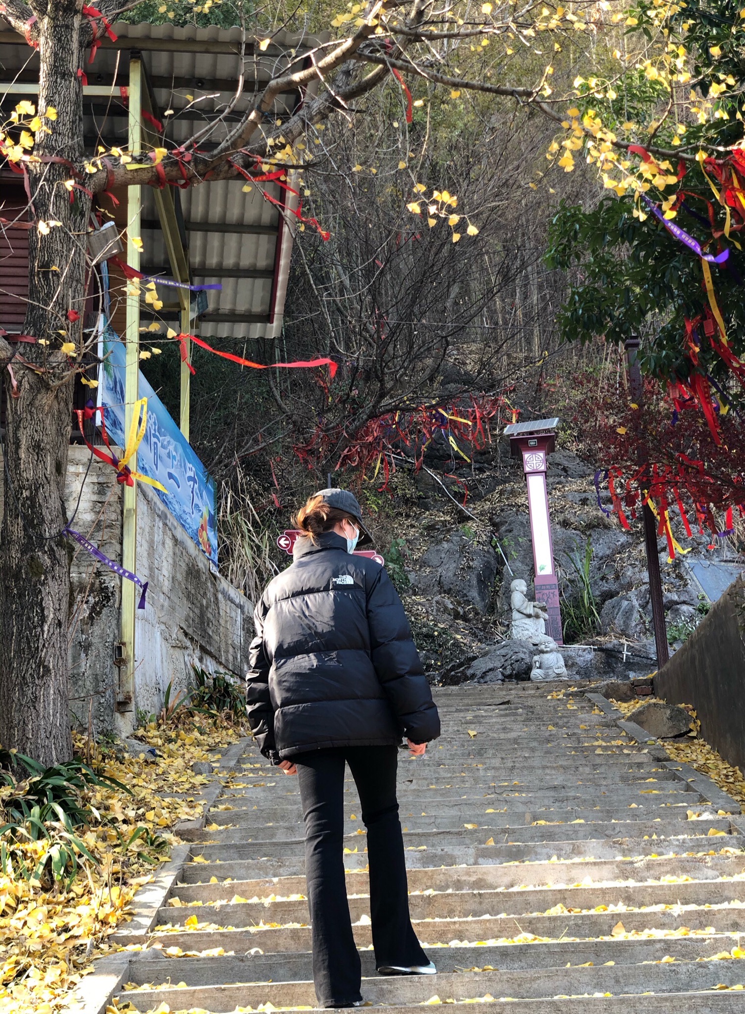 仙女寨植物园旅行图片 2