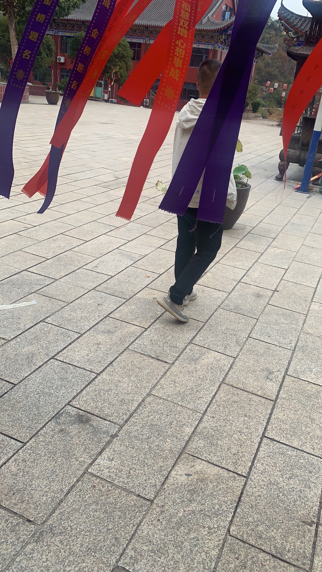 仙女寨植物园旅行图片 2