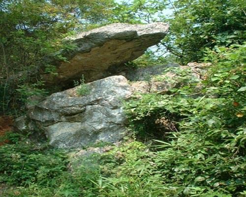 仙女寨植物园旅行图片 1
