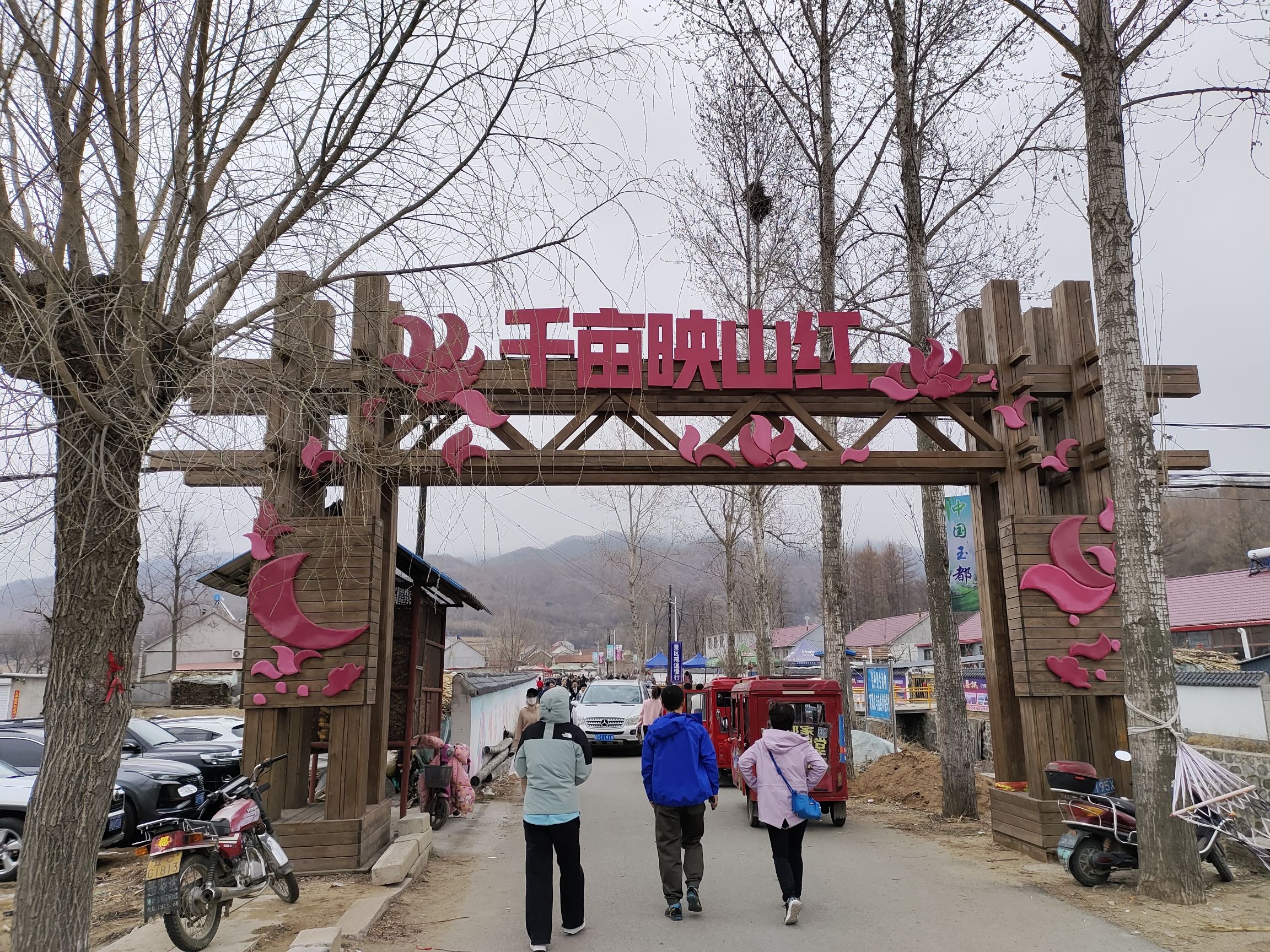 岫岩黄岭映山红景区旅行图片 1