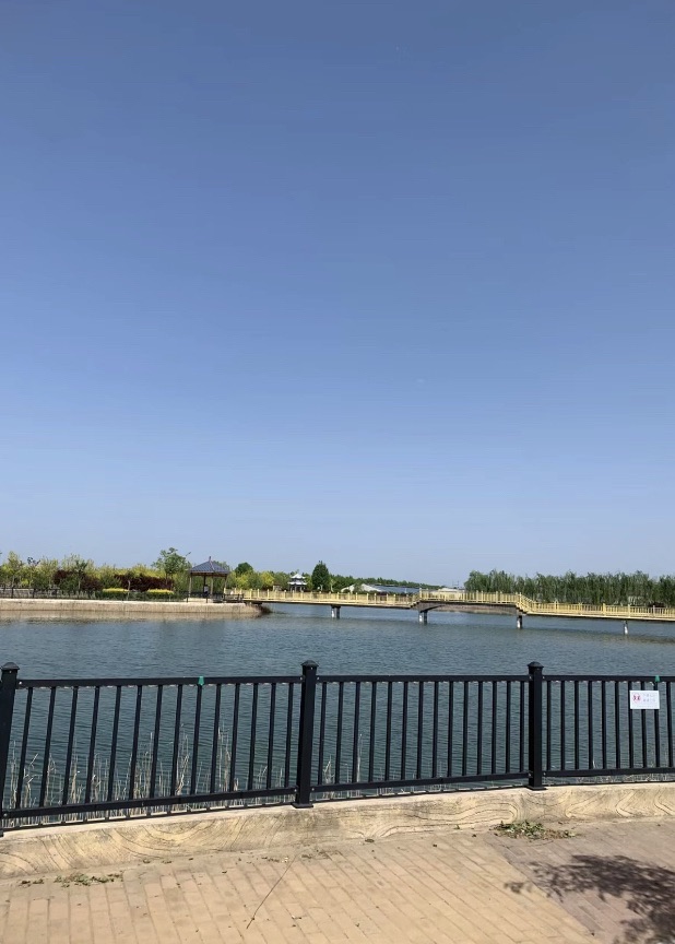 七彩田园扁鹊观光园旅行图片 2