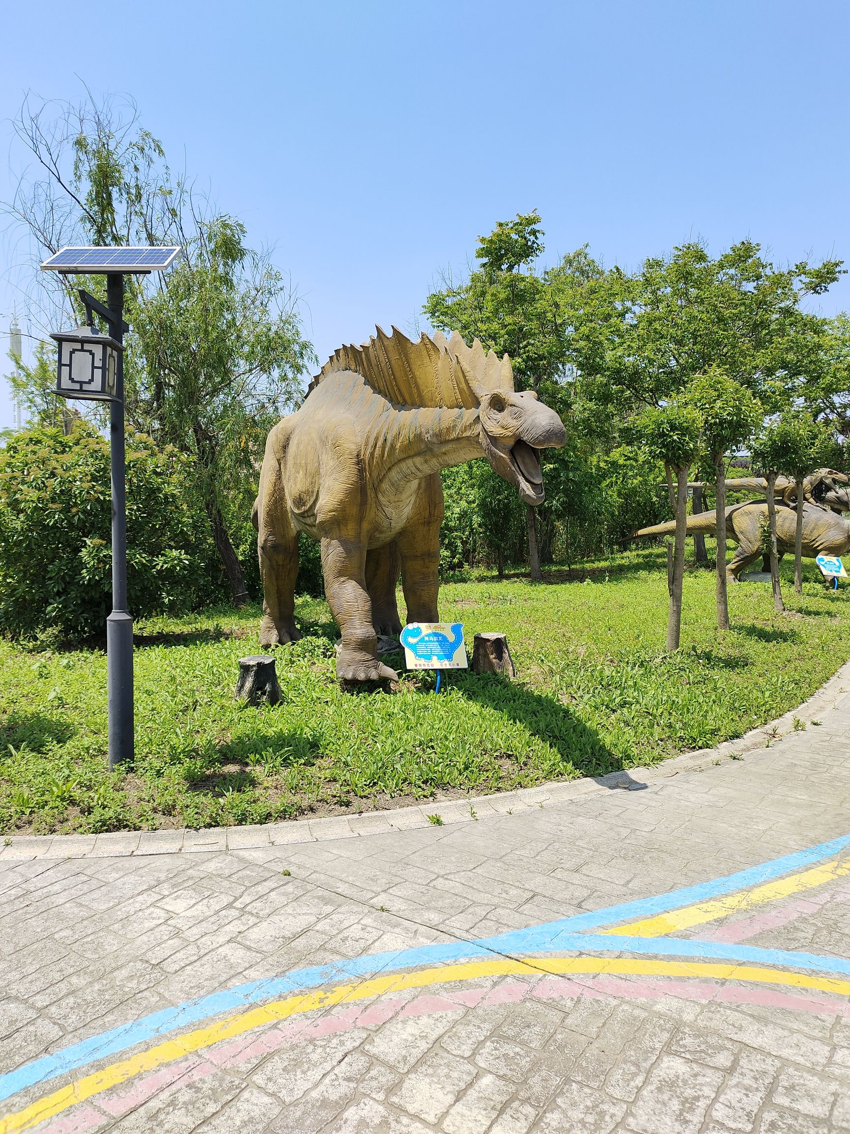 星星乐园旅行图片 1