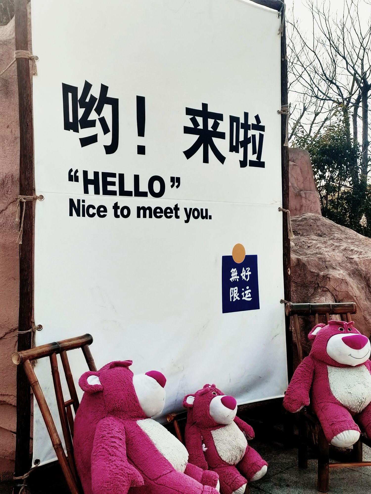 星星乐园旅行图片 1