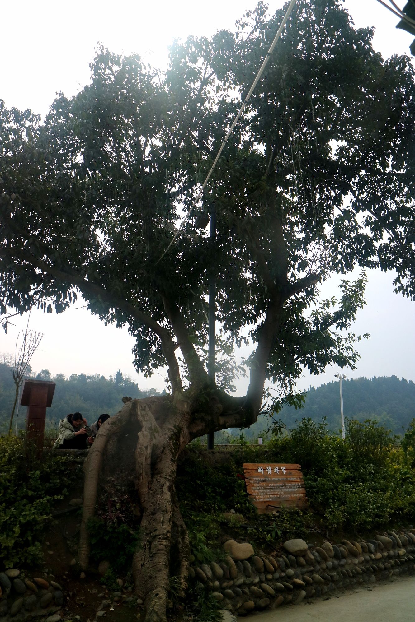 清溪古镇旅行图片 2
