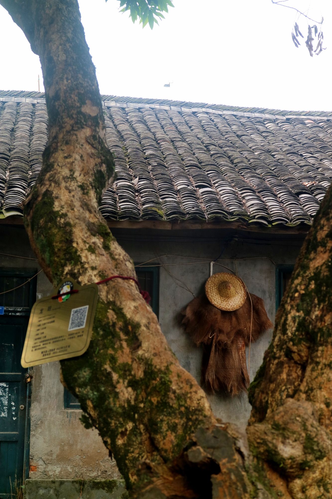 清溪古镇旅行图片 3