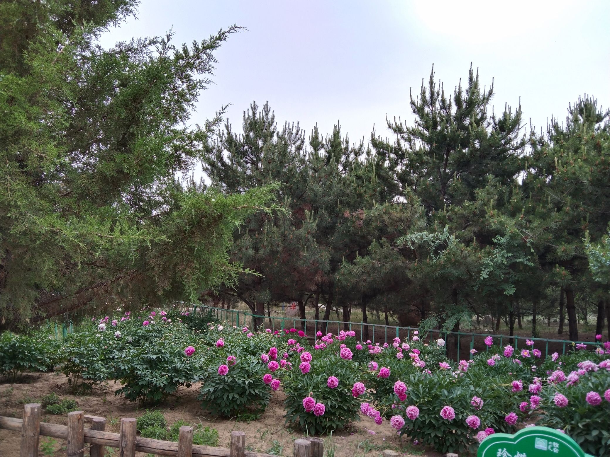 和林格尔县南山旅游景区旅行图片 3