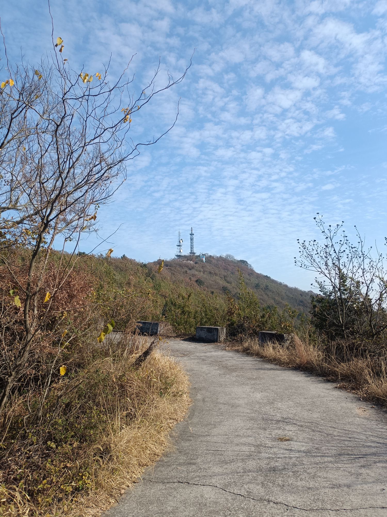 吴兴金盖山景区旅行图片 2