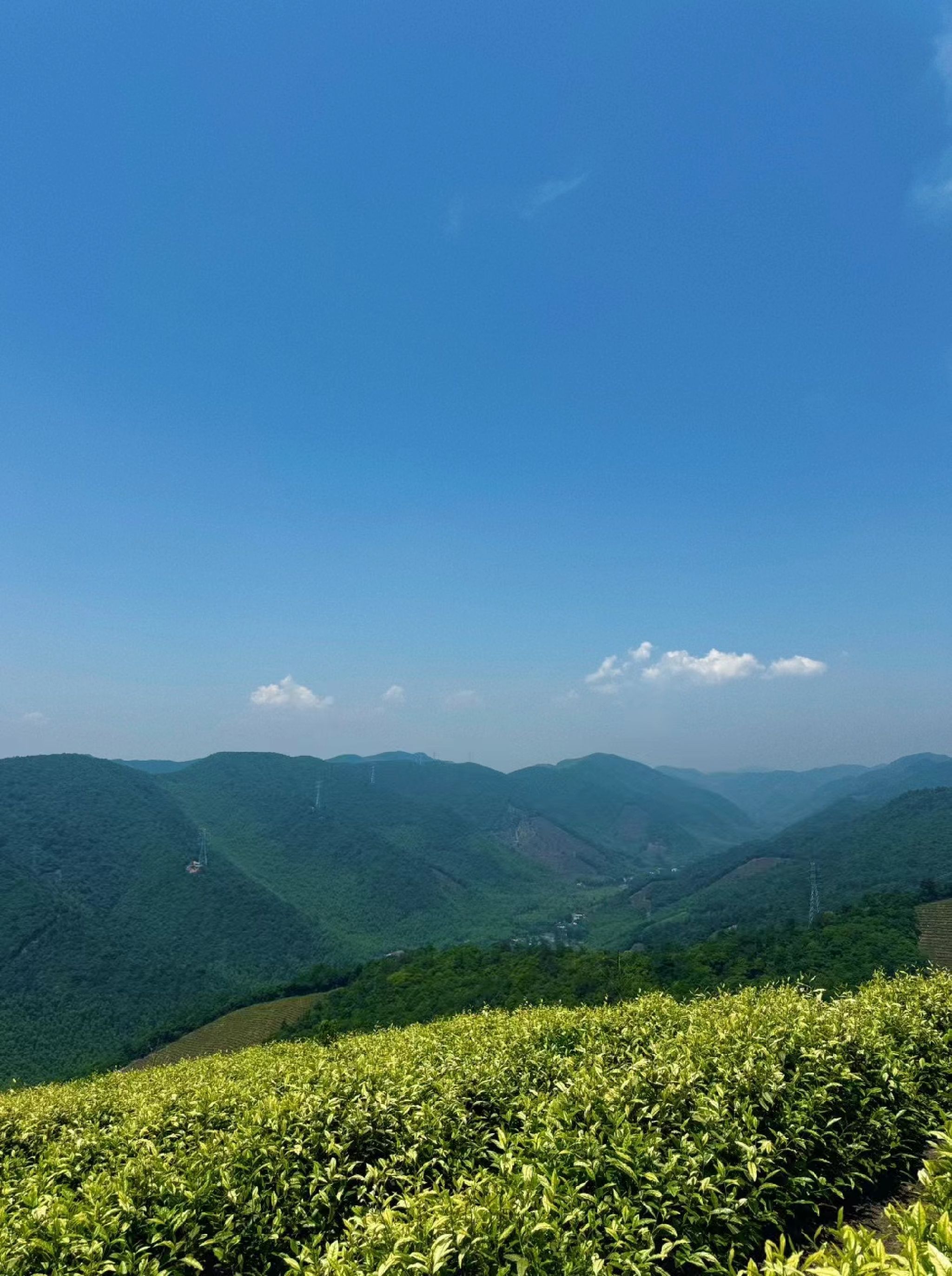 长兴川步(村)景区旅行图片 1