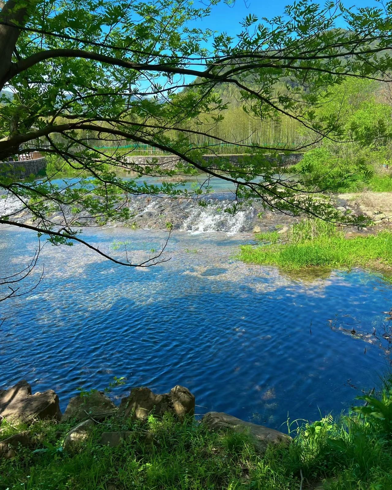 长兴川步(村)景区旅行图片 2