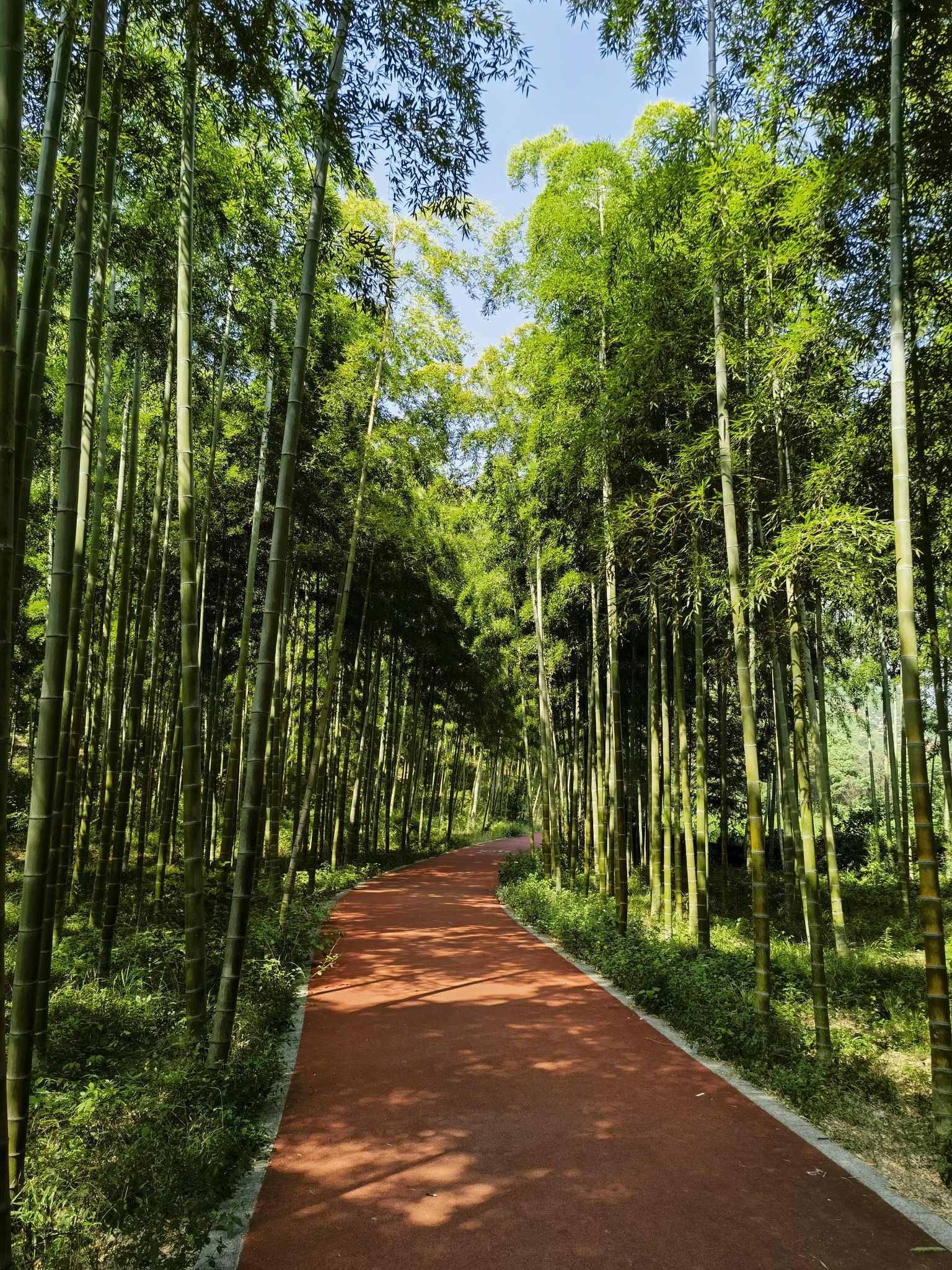 长兴川步(村)景区旅行图片 2