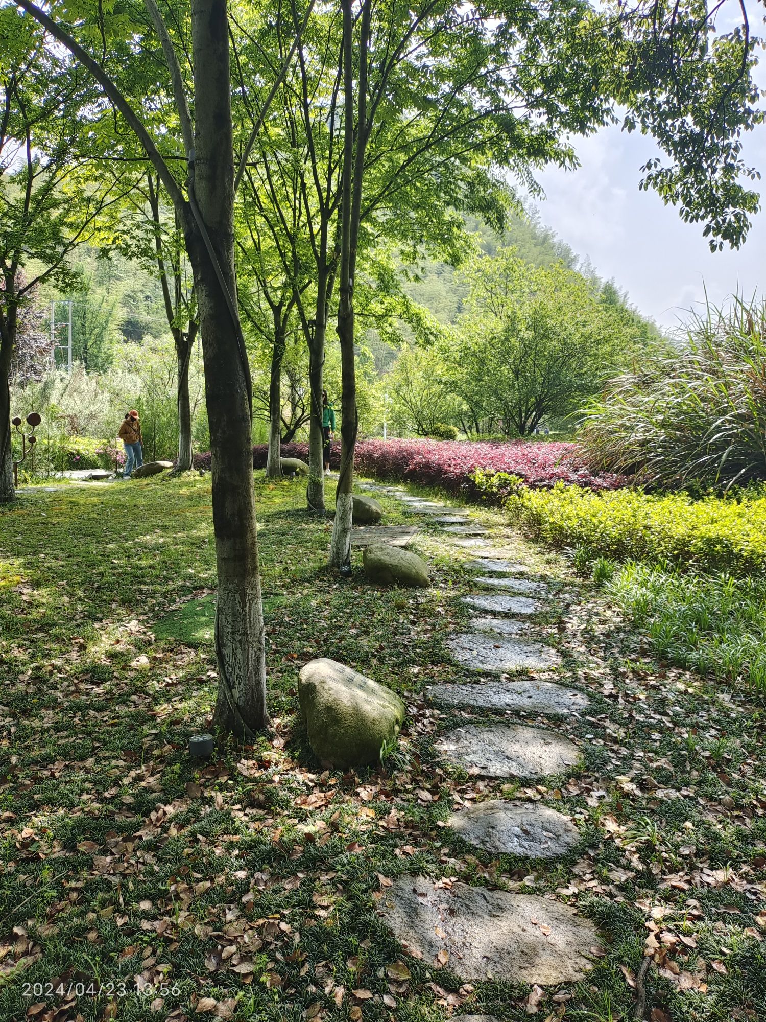 安吉余村景区旅行图片 3