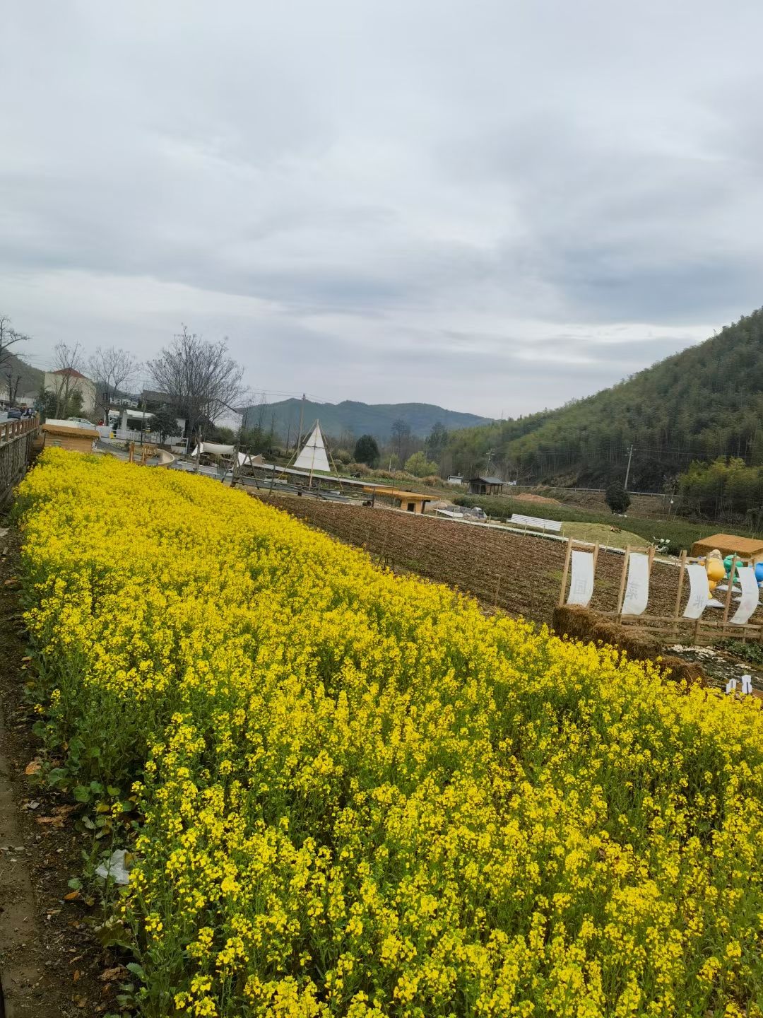 安吉余村景区旅行图片 2