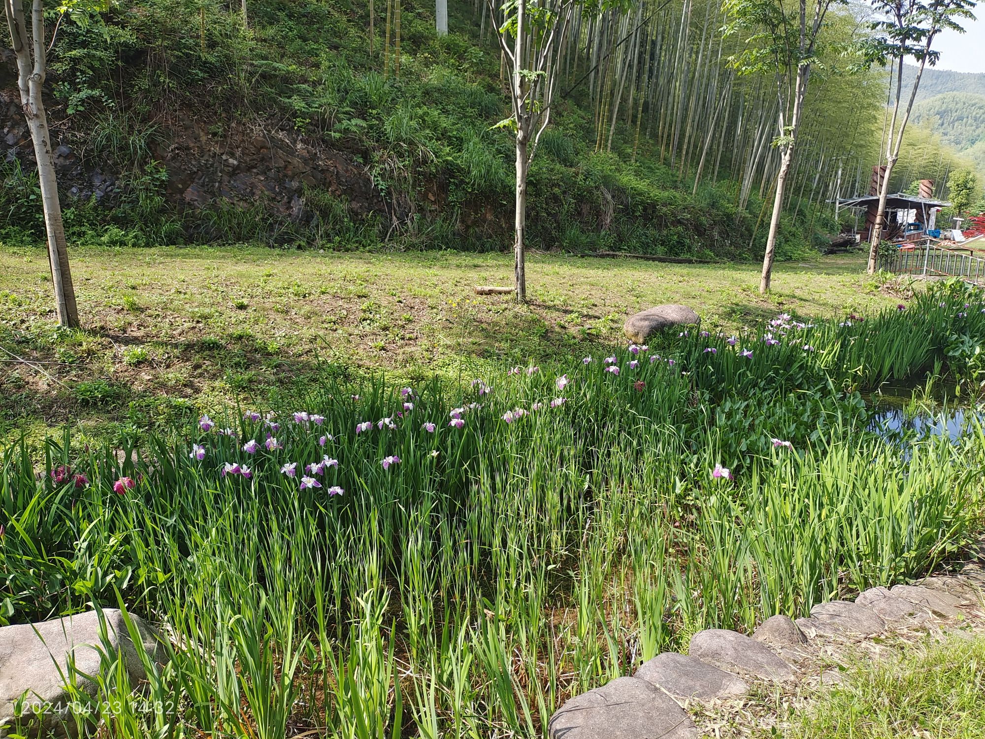 安吉余村景区旅行图片 2