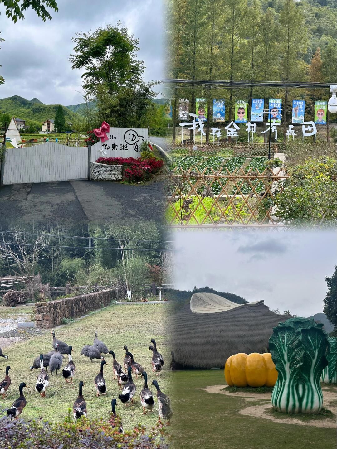 安吉余村景区旅行图片 3