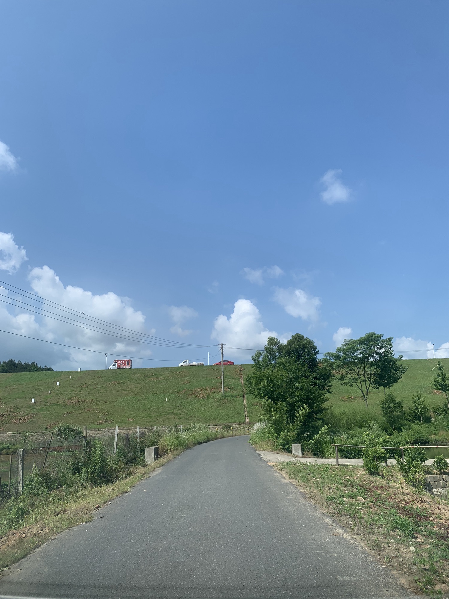 江淮果岭大观园旅行图片