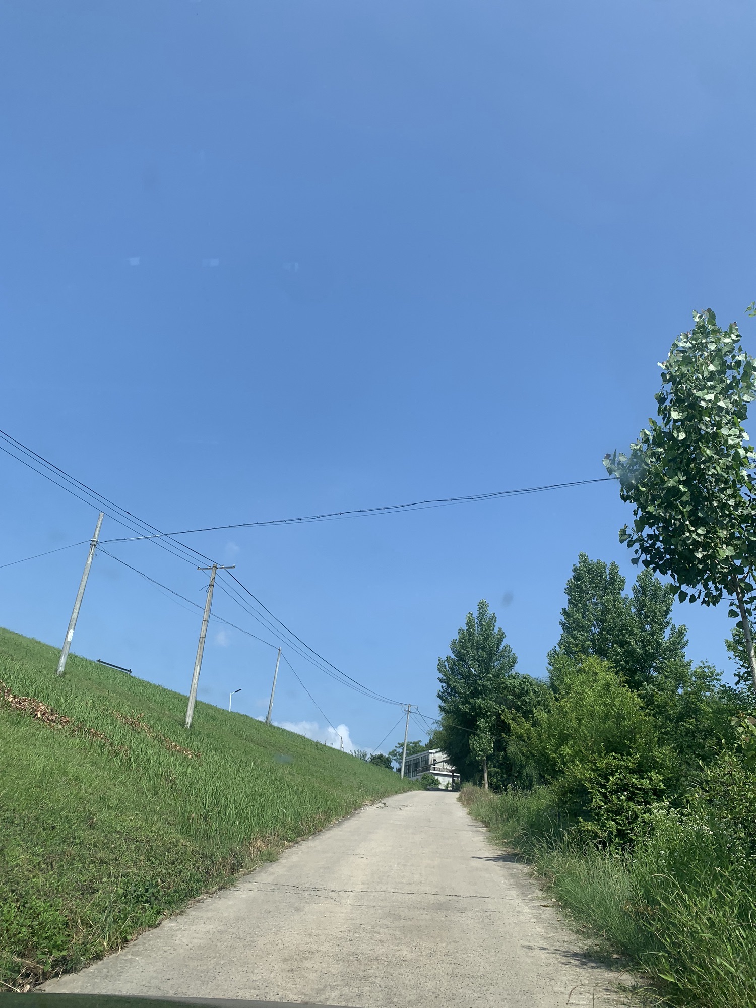 江淮果岭大观园旅行图片 2